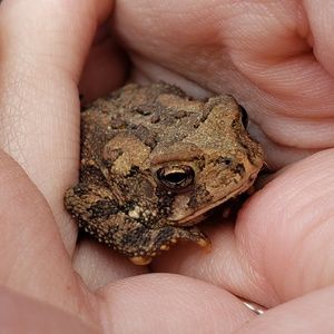 Meet your Posher, Abigail